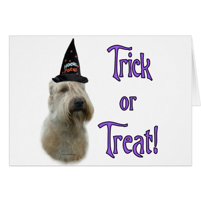 Soft Coated Wheaten Trick (Front Horizontal)