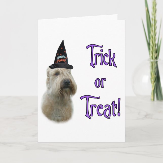 Soft Coated Wheaten Trick Greeting Card (Front)