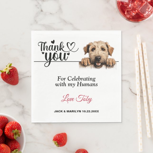 Soft Coated Wheaton Napkins with Photo (Insitu)