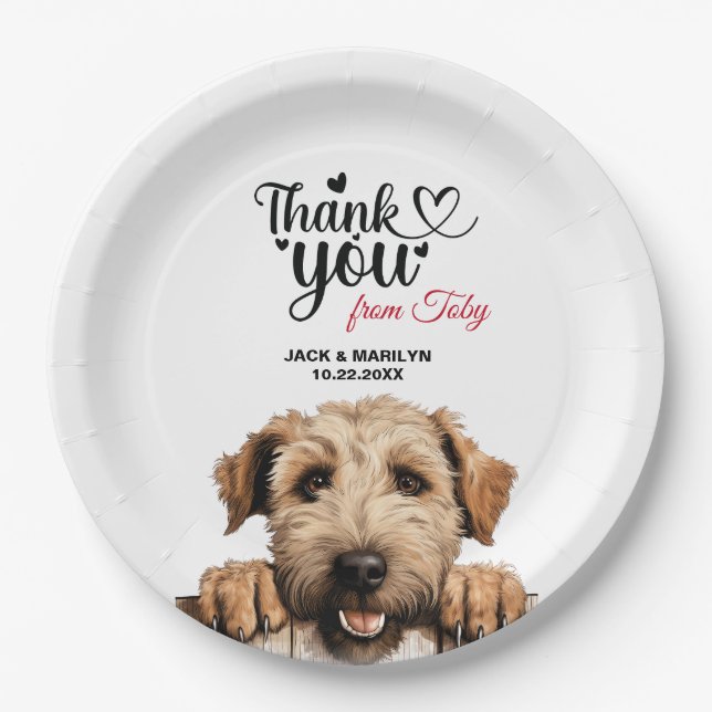 Soft Coated Wheaton Terrier Paper Plate (Front)