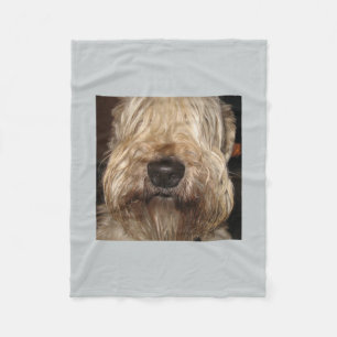 soft coated wheaton terrier.png fleece blanket
