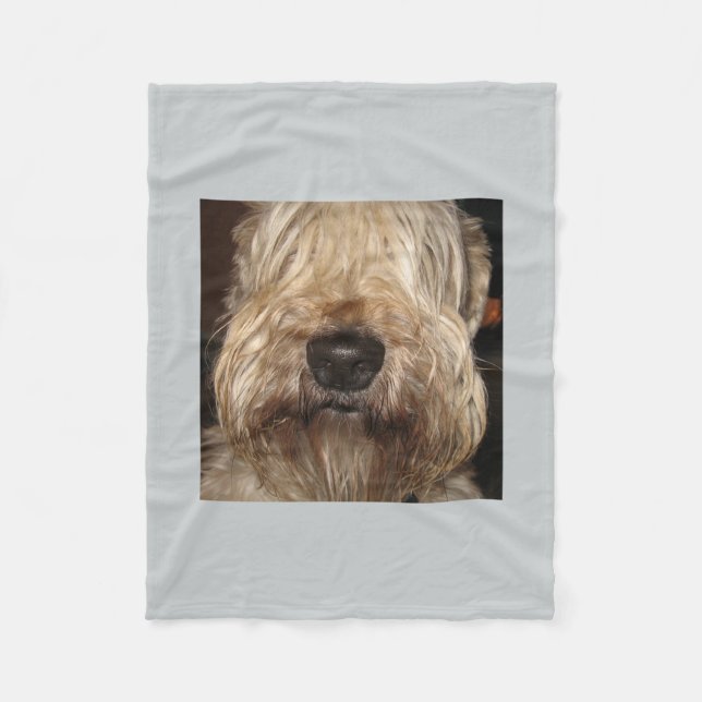 soft coated wheaton terrier.png fleece blanket (Front)
