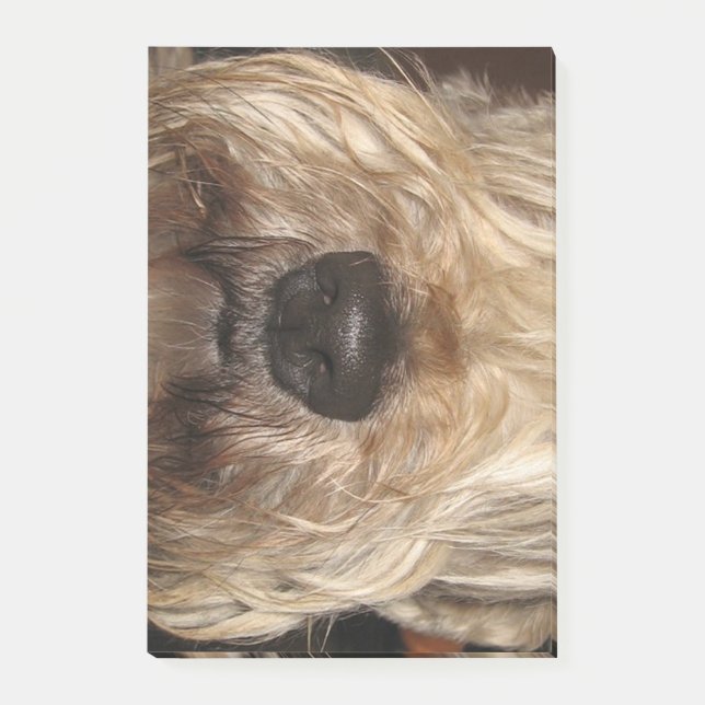 soft coated wheaton terrier.png post-it notes (Front)