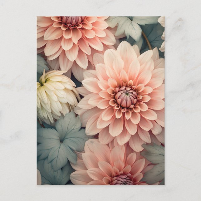 soft colored dahlia flower head postcard (Front)