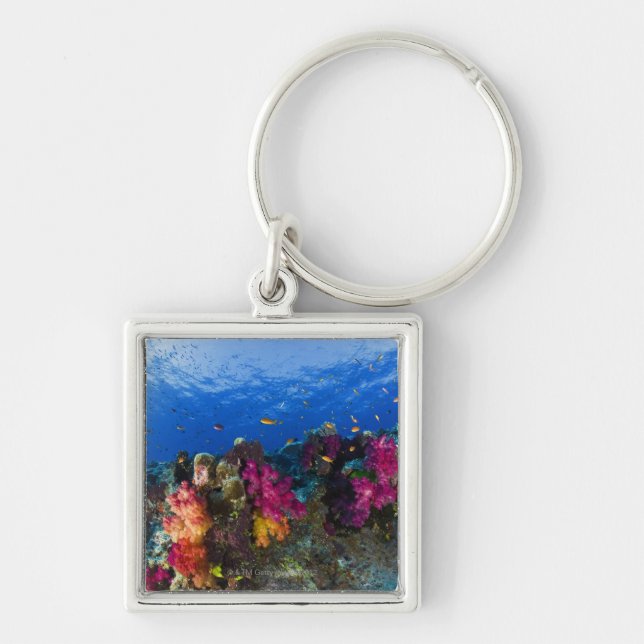 Soft corals on shallow reef, Fiji Key Ring (Front)