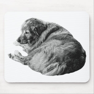 Soft Dog Fur Lifts Calm Winter Workspace Energy Mouse Pad