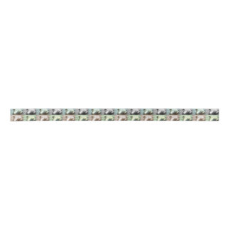 Soft Elegance Satin Ribbon