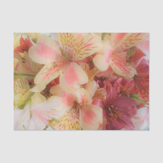Soft Floral Tissue Paper (Front)