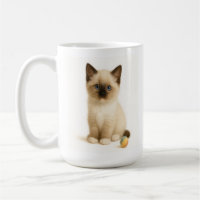 Soft Focus – Ragdoll Kitten with Felt Toy Ball
