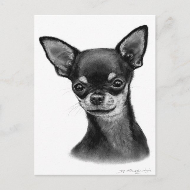 Soft Gaze Charcoal Drawing Postcard (Front)