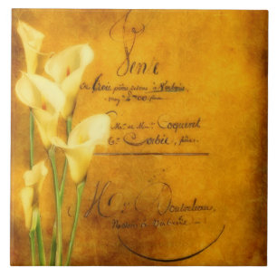 Soft golden calla lilies tile