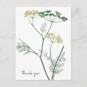 Soft Green Botanical IV - Thank You Postcard
