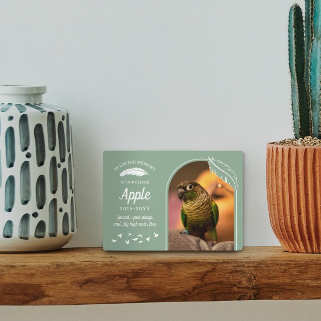 Soft Green Feathers In Loving Memory Pet Bird Plaque (Creator Uploaded)
