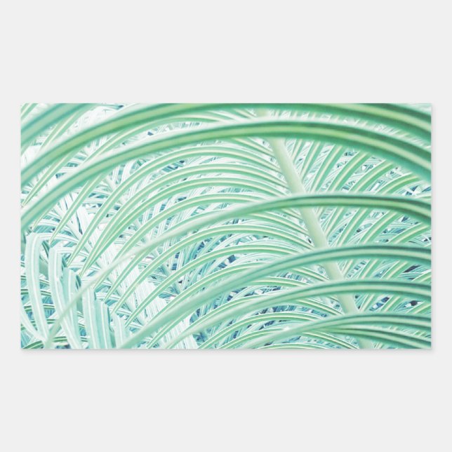 Soft Green Plant Palm Leaf Rectangular Sticker (Front)