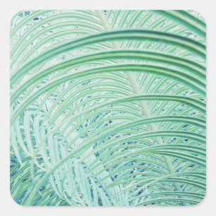 Soft Green Plant Palm Leaf Square Sticker