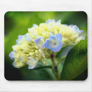 Soft Hydrangea Flower Mouse Pad
