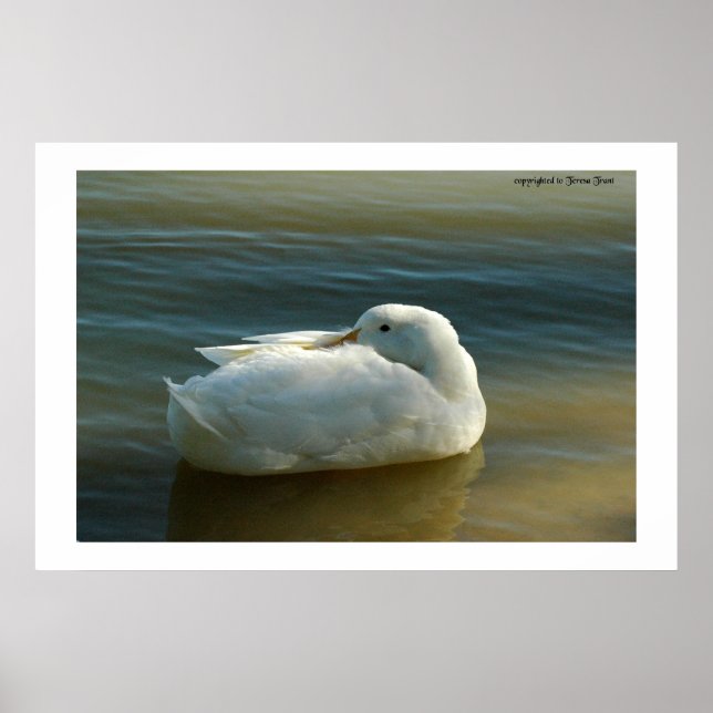 Soft in White Poster (Front)