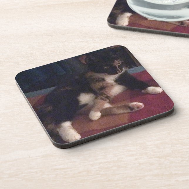 Soft Kitty Paws Coaster (Left Side)