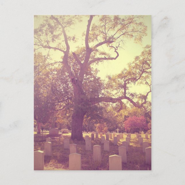 Soft Light Graveyard Postcard (Front)