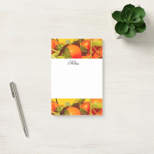 Soft Orange Fruit Aesthetic Post-it Notes (Office)