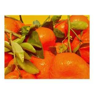 Soft Orange Fruit Aesthetic Poster