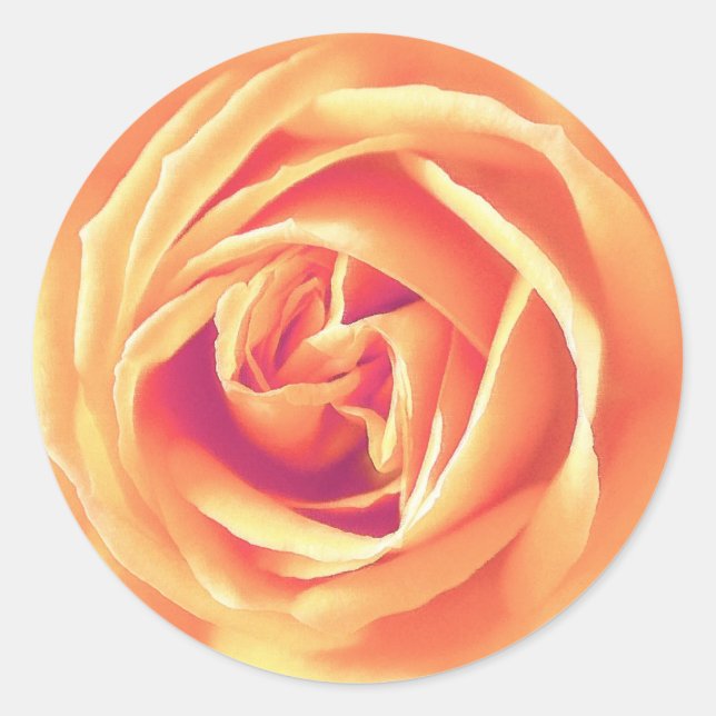 Soft orange rose print classic round sticker (Front)
