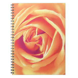 Soft orange rose print notebook