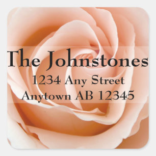 Soft Orange Rose Wedding Return Address Label
