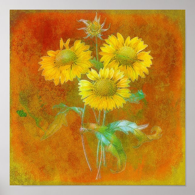 Soft painted sunflowers poster (Front)