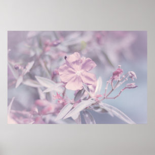 Soft Pastel Lavender Flower Poster