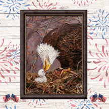 Soft Patriotic Eagle and Eaglet Art
