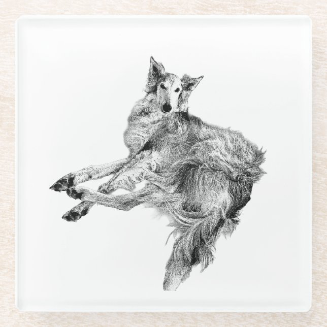 Soft Pause – Silken Windhound Glass Coaster (Front)