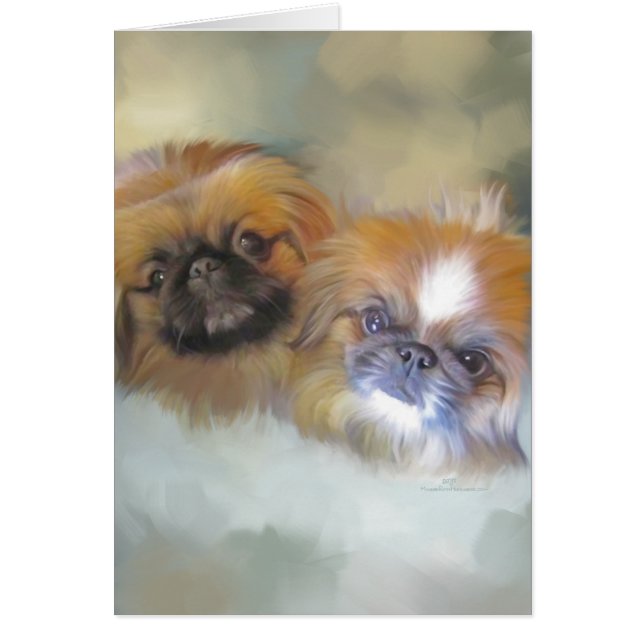 Soft Pekingese Duo (Front)