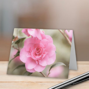 Soft Pink Camellia Flower  Note Card
