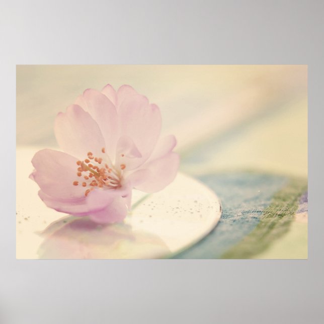 Soft Pink Cherry Blossom Flower Poster (Front)