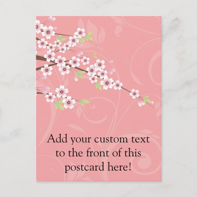 Soft Pink Cherry Blossom Postcard (Front)
