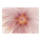 Soft Pink Floral Dream Abstract Modern Flower