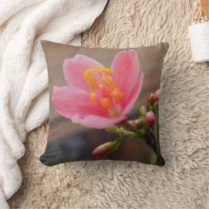Soft Pink Jatropha Flower Cushion