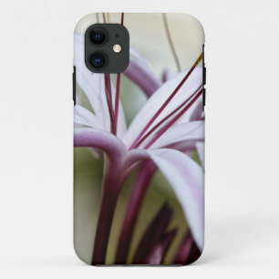 Soft Pink Lily Flower Botanical Photo Art iPhone 11 Case