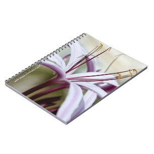 Soft Pink Lily Flower Botanical Photo Art Spiral Notebook
