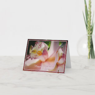 Soft PInk orchid Card