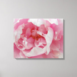 Soft Pink Peony Elegant Photograph on Canvas Print