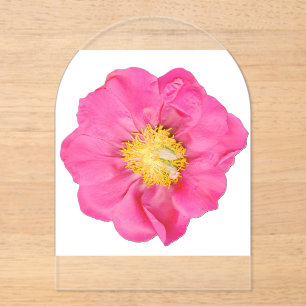 Soft Pink Peony Flower Botanical Acrylic Invitations