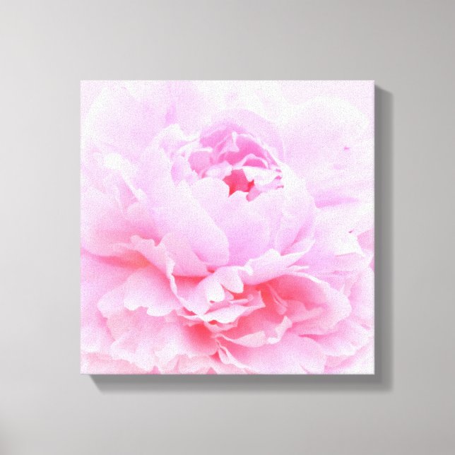 soft pink petals canvas print (Front)
