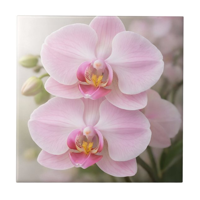 Soft Pink Phalaenopsis Orchid Tile (Front)