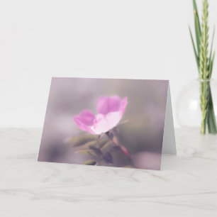 Soft Pink Rosa Note  Card