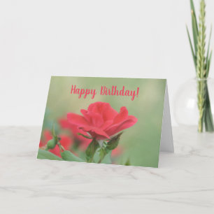 Soft Pink Rose Birthday Card
