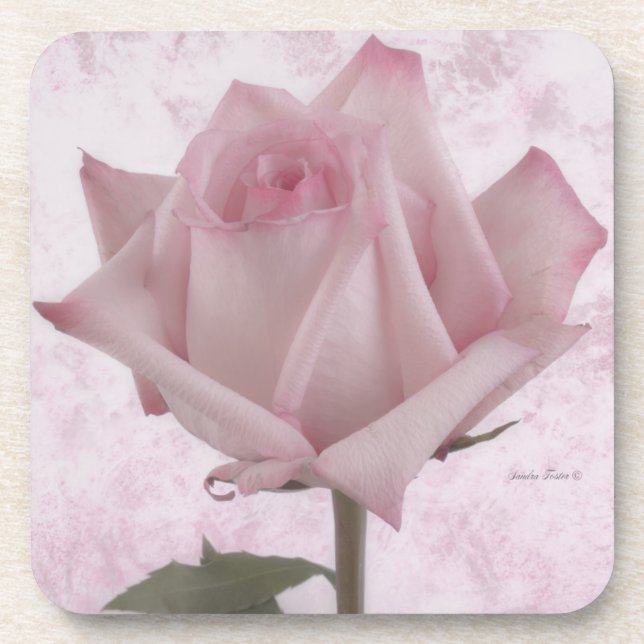 Soft Pink Rose Flower Coaster (Front)
