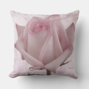 Soft Pink Rose Flower Cushion