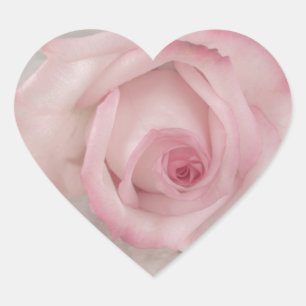 Soft Pink Rose Flower Heart Sticker